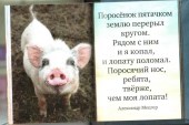 Для малышки 5